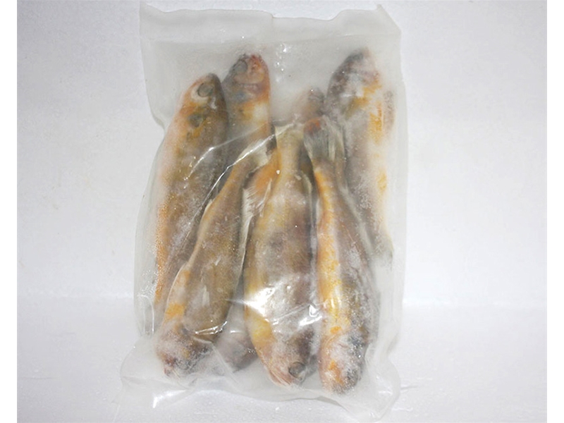 黃花魚(yú)